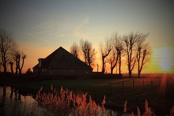 Westfriese Boerderij