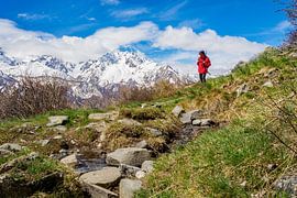 THE MOUNTAIN OF THE LAMBS by Alain Gaymard