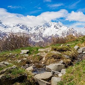 DER LÄMMERBERG von Alain Gaymard