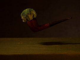 Healthy and funny broccoli pipe
