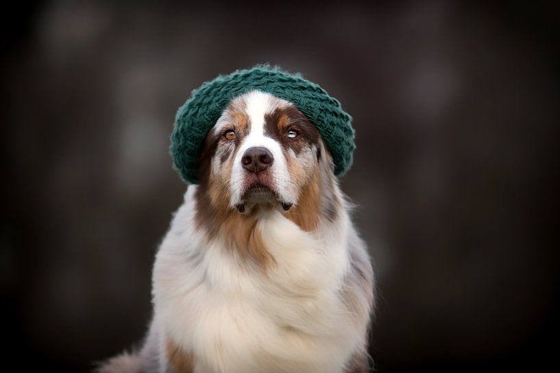 Hütehund par Annett Mirsberger