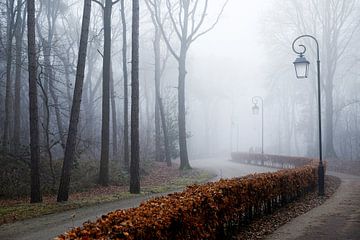 nebligen Wald mit schönen Laterne von Karin vanBijlevelt