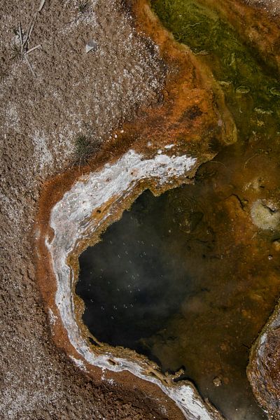 Raw and organic | Yellowstone National Park | America | Travel photography by Kimberley Helmendag