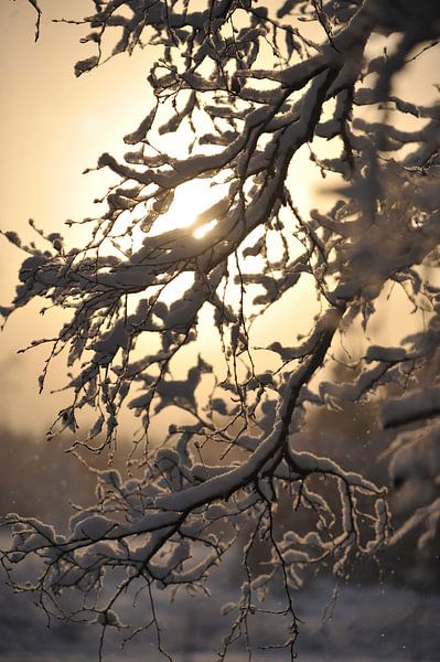 winter 2 by Marieke EWA