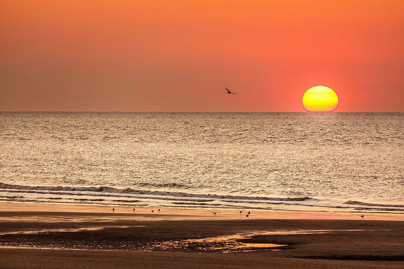 Sunset on the beach of Middelkerke by Rob Boon