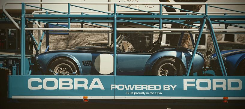 Cobra powered by Ford by Jean Philippe