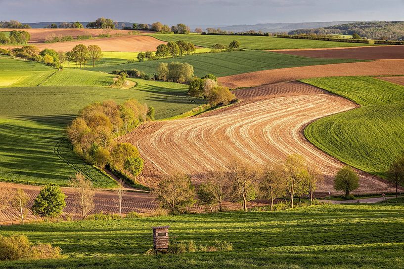 Fields @ Fromberg by Rob Boon