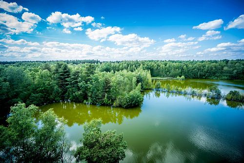 Spiegelend meer in het groen