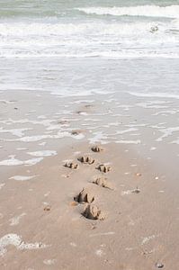 hondenpootafdrukken  in het zand van Annelies Cranendonk