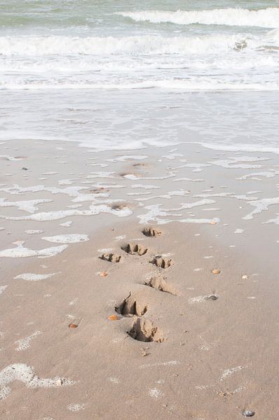 empreintes en forme de dog-leg dans le sable par Annelies Cranendonk