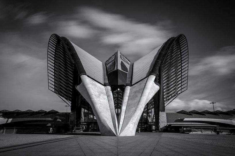 Spaceship de Lyon-Saint-Exupéry  van Sander van der Werf