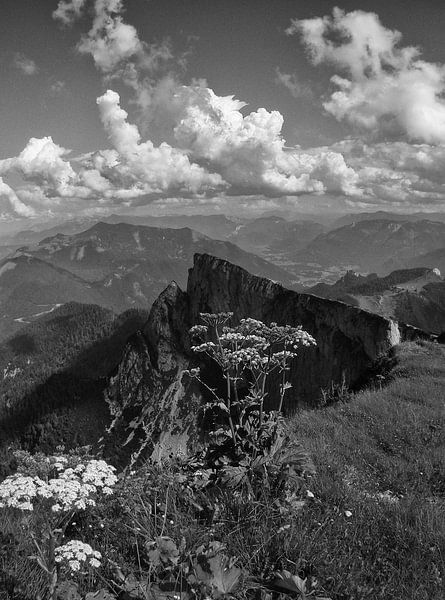 In den Fußstapfen von Ansel Adams von Henk Egbertzen