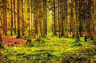 Wald mit Moosen und Farnen von Nicc Koch Miniaturansicht