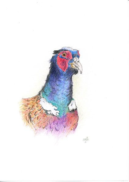 Pheasant by Marian van der Veen-Niemeijer