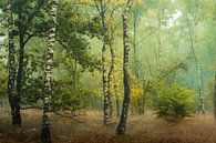 Birkenbäume im Herbst von Kees van Dongen Miniaturansicht