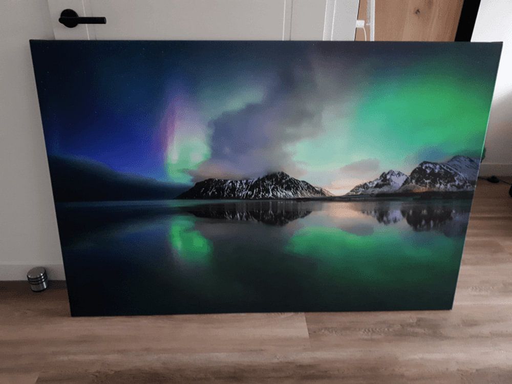 Bird of Skagsanden, Lofoten by Sven Broeckx