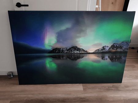 Vogel van Skagsanden