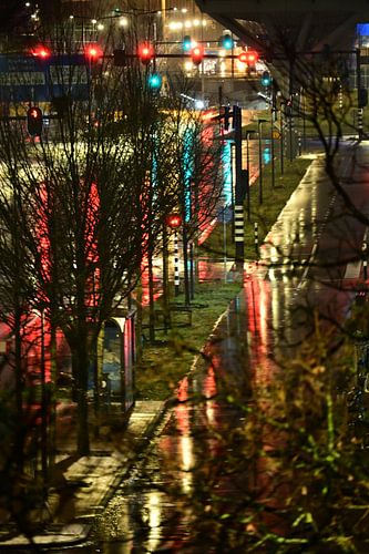 Wet Night in Neon Light