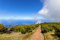 Berglandschaft auf Madeira von Dirk Rüter Miniaturansicht