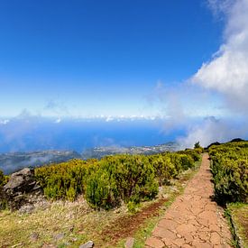 Berglandschap op Madeira van Dirk Rüter