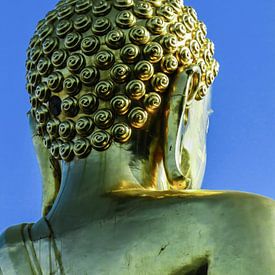 Gouden boeddha, van achteren gezien van Rietje Bulthuis