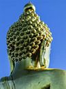 Gouden boeddha, van achteren gezien van Rietje Bulthuis thumbnail