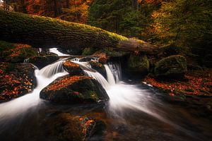 Ilsefälle im Herbst
