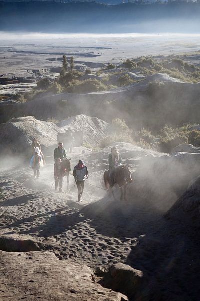 Paardrijden bij Bromo vulkaan van Kees van Dun