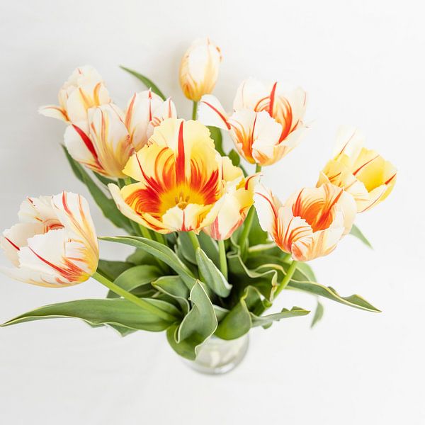 tulpen aan de muur van Karin Riethoven