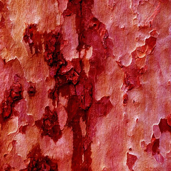 Tree Art by Ronald Smits