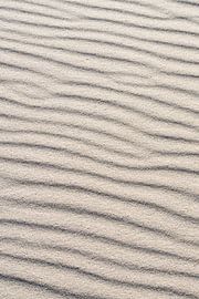 modèles et structures sur eric van der eijkj