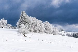 Landschaft im Winter im Thüringer Wald in der Nähe von Schmied