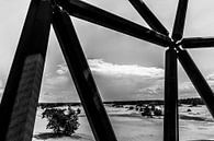 Zwartwit vanuit Uitkijktoren Kootwijkerzand van Paul van Putten thumbnail