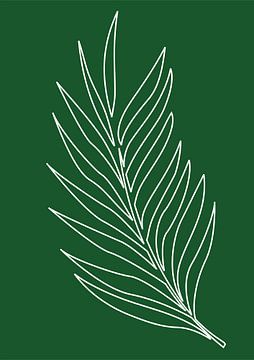 Minimalist Nature & Abstract Illustration Collection