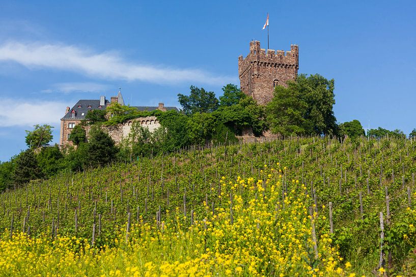 Klopp Castle, Bingen by Torsten Krüger