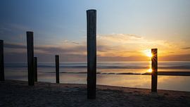 Palendorp Petten sur Bram Lubbers