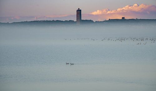 mist over het wad