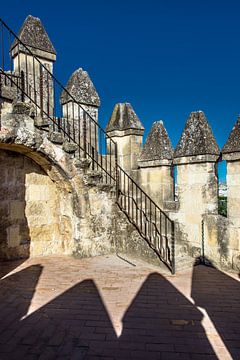 Alcazar de Cordoba sur Harrie Muis