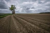 Landbouw & religie in Noord Frankrijk par Ruud van der Lubben Aperçu
