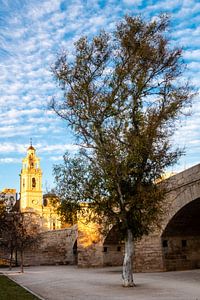 Turia Park in Valencia mit Brücke und Kirche
