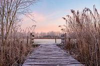Winter in de Schammer