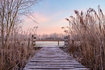 Winter in de Schammer van Margreet Riedstra