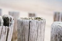 Pile heads abstract