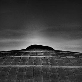 the roof sur Barry van de Laar