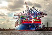 Container ship