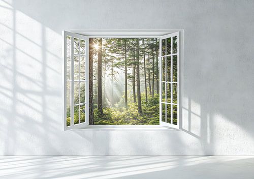 uitzicht vanuit de woonkamer op het boslandschap