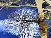 grafische collage van bomen van Herman Kremer thumbnail