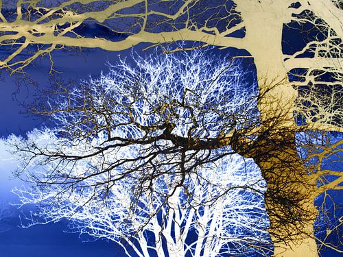 graphic collage of trees