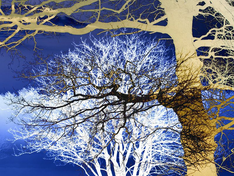 grafische collage van bomen van Herman Kremer