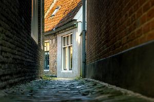 Blokzijl : Ruelle historique – Des œuvres d'art intemporelles à accrocher au mur
